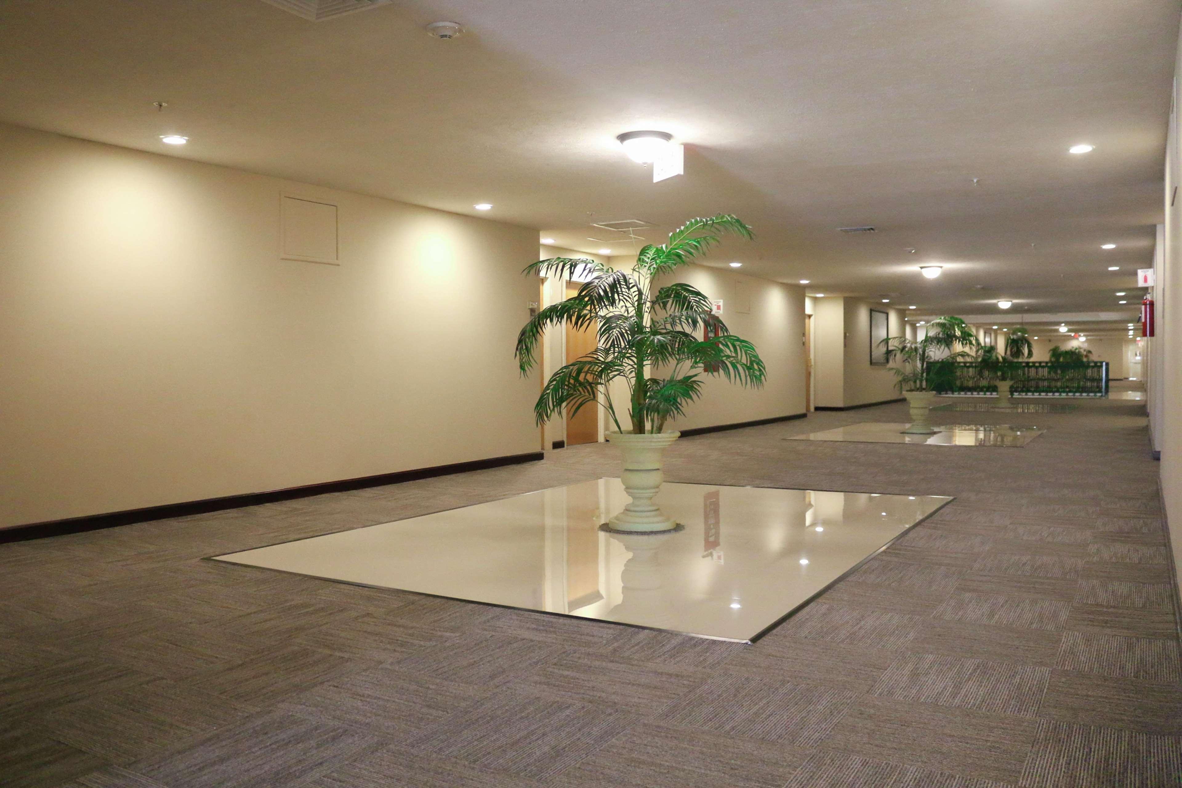 Hampton Inn Tampico Zona Dorada Екстер'єр фото